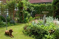 Small garden with rose arch, perennial plants, bench and dog lying on lawn - Open Gardens Day 2012, Westleton, Suffolk