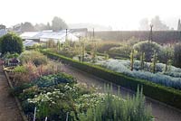 Formal herb beds and tomatoes growing on wig-wams in the Walled Garden at West Dean, Sussex