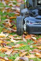 Using a rotary mower to macerate fallen leaves and collect them in one pass