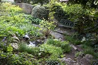 Area of woodland planting in town garden with pond, seating area and frog sculpture.  Planting includes Sweet Woodruff, Polygonatum hybridum - Solomons seal, Bluebells, Helleborus foetidus, Fatsia japonica, Japanese Anemone foliage, Euphorbia amygdaloides var. robbiae - Southwood Lodge
