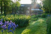 Mill house surrounded by clumps of vibrantly coloured Irises catching early morning sun - Westonbury Mill  