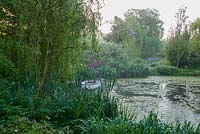 Lake edged with Hostas and Primulas contains small rowing boat below a Salix - Weeping Willow tree -  Westonbury Mill