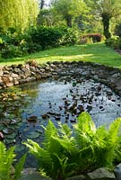 Pond edged with cobbles and ferns -  Westonbury Mill