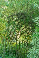 Woven willow tunnel - Westonbury Mill