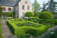 Formal courtyard garden on the west side of the house features Box hedging, standard clipped  Prunus lusitanica -  Portuguese laurels, and flowers such as irises, self seeded Aquilegias, Thalictrums and Peonies, with metal obelisks supporting Clematis - The Old Rectory