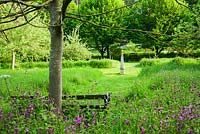 Wildflowers including red Campion, Foxgloves and Ox eye daisies cover the sloping sides of the garden, with mown grass paths marked with stone obelisks and lots of seats to enjoy the setting - The Old Rectory