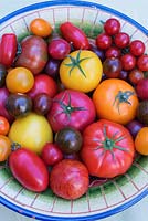 Mixed tomatoes in bowl - kumato, aranca, zebrino, chocolate cherry, luca, jelona, bolzano and tiger