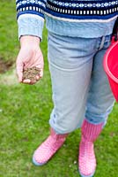 Woman adding mixture of sand, soil and peat to freshly aerated lawn
