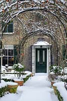 View of path to front door in formal town garden in winter with box edging and rose hips of Rosa 'Meg' growing over arches - Rhadegund House, New Square, Cambridge