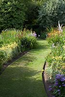 Perennials in borders along a grass path - Aster, Helenium, Campanula and Achillea 'Moonshine' in June - Richard Ayres' Garden