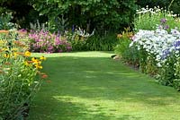 Perennials in borders along a grass path - Aster, Achillea, Helenium, Geranium and Hemerocallis  in June - Richard Ayres' Garden