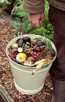 Man carrying an enamel bucket of kitchen waste to be composted