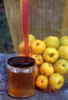 Chaenomeles superba 'Boule de Feu' - Bag of quinces with a jar of home made quince jelly on a rustic wooden surface