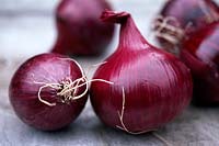 Allium cepa 'Red Baron' -  Organic red onions on a rustic wooden surface