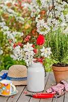 Spring displays on a wooden table, milk can of daffodils, Chaenomeles and red tulips, potted rosemary, tea cup and accessories