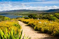 Ramskop Nature Reserve at Clanwilliam, Namaqualand, South Africa