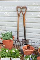 Garden tools with bedding plants, watering cans, bulbs and pots by garden shed