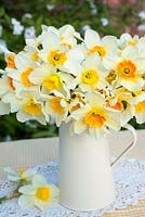 Narcissus in cream enamel jug on table
