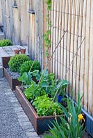 Between a gravelled path and the wooden wall of a house, corten steel troughs contain vegetables
