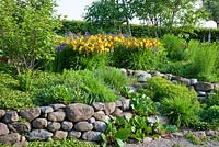 Hemerocallis on a terrace made by organic formed collected stone walls, Bergenia, Euphorbia cyparissias,  Hemerocallis