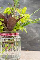 Herb arrangement in glass jar -  Rosemary, Mint, Chives, Thyme, Salvia, Marjoram and Lemon Verbena