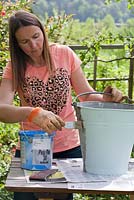 Planting tomato plant in a painted bucket. Step by. Woman painting an old bucket.