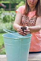Planting tomato plant in a painted bucket. Adding compost 