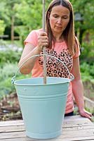 Planting tomato plant in a painted bucket. Woman placing cane in container as plant support 