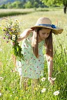 Girl picking meadow flowers. Daisy, meadow sage, Scabious, buttercup, comfrey and ragged Robin