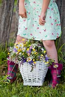 Girl with a basket of meadow flowers. Daisy, meadow sage, Scabious, buttercup, comfrey and ragged Robin