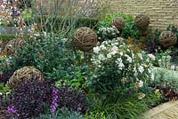 Border planting of shrubs, perennial plants and modern architectural features - 'The Rough with the Smooth' Show Garden, Premier Gold Award, Harrogate Spring Flower Show 2013