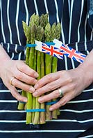 Female cook holding freshly cut UK grown, Asparagus spears