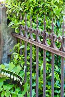 Close up of wrought iron railing.