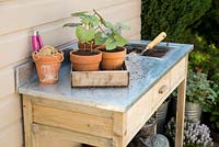Assortment of gardening tools and equipment on a potting bench