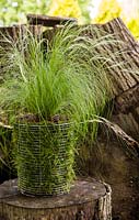 Step by Step -  Creating a turf pot using Carex comans 'Frosted Curls' - completed pot