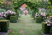 Formal Rose Garden including Rosa 'Irene Watts'. Pashley Manor