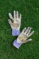 Gardening gloves on a lawn