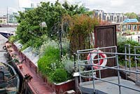The Thames Garden Barges with mini orchard of Medlars, Buxus balls, Helichrysum, Calendula.