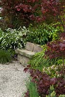 Stone seat beside gravel path with Japanese influenced planting to provide a place for calm meditation - 'There's a place in the woodland where East meets West' Show Garden, Gold Award, Malvern Spring Show 2013