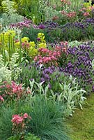 Pastel colours in border of Mediterranean style garden - 'Return to the Med' Show Garden, Silver Gilt Award, Malvern Spring Show 2013