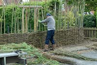 Willow Fence Construction -  Adjustment to uprights to ensure uniformity of weave during course of fence build