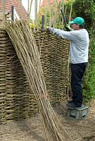 Willow Fence Construction -  Woven willows being beaten down with metal bar to ensure a tight weave for added strength
