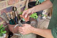 Step by step -  Planting tomato 'Tumbling Tom' in an old metal watering can - adding crocks