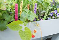 Colourful homemade labels in raised bed