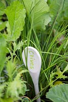 Label made out of wooden spoon in mixed raised bed - chives  