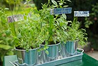 Step by step for creating metallic plant labels - finished labels in pots of herbs
