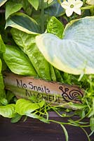 Humorous homemade sign banning snails from raised bed