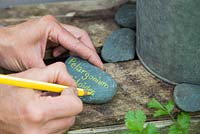 Using pebbles as plant labels