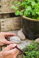 Using pebbles as plant labels