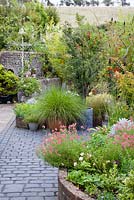 Walled courtyward garden. All planting created above ground, on top of former farmyard.  Mixed containers and beds, include Diascia, Betula, Sedum, mixed grasses and Rhus typhina - NGS garden Oxsetton